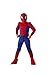 Spider-Man Deluxe Child Costume: Size 10-12