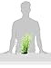 Fluval Bamboo Shoots Plant for Aquarium, 14-Inch