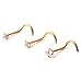 Ruifan 20G Surgical Steel Diamond Cubic Zirconia Crystal Nose Twist Screw Ring Piercing Jewelry