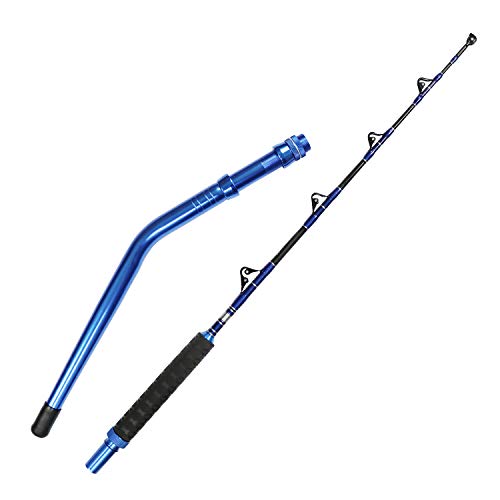 Fishing Rods Buy Fishing Rods online at Best Prices in UAE Amazon.ae