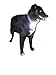 Premium Quality New Magnetic Rechargeable Safety Light - Clip On for Running, Hiking, Dog Walking, USB Easy Charging, Heavy Duty, Flexible Design, Can Be Used As Headlamp Or Warning Arm Light