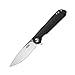 Ganzo Firebird FH41 BK D2 Steel Blade G10 handle Pocket Folding Knife EDC Tool