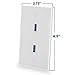 BATIGE 2 -Port Dual USB 3.0 Keystone Wall Plate Charger Outlet Mount Socket Face Plate Cover Panel Dock Station