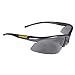 Dewalt DPG51-2C Radius Smoke 10 Base Curve Lens Protective Safety Glasses primary