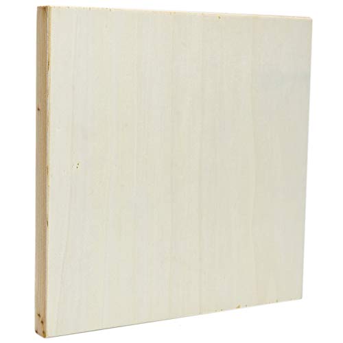 AQUEENLY 6 Pcs 8'' x 8'' Unfinished Wood Cradled Painting Panel Boards for Arts & Craft - Wooden Canvas Panels
