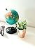 Small Faux Aloe Succulent in Rose Gold Ceramic Planter - 4 x 6 Inches - Marmeda Decor Potted Artificial Plant in Shiny Copper Glazed Pot - Global Modern Metallic Decor for Home or Office