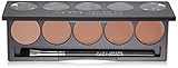 Ultimate Foundation 5-in-1 PRO Palette, 500a Series BEIGE-PINK UNDERTONES (LIGHT TO MEDIUM)