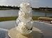 JellyBeadz Brand - 1 Pound Almost 30,000 Water Bead Gel - White - 16 Ounce Heat Sealed Bag- Water Pearls Gel Beads- Wedding and Event Centerpieces