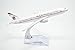 TANG DYNASTY(TM) 1:400 16cm B777 Etihad Airlines Metal Airplane Model Plane Toy Plane Model