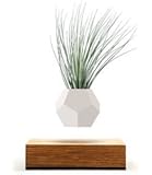 LYFE - Original, Authentic Floating Levitating Plant Pot for Air Plants (Oak Base, 12-Sided Geodesic Silicon Planter)