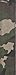D'Addario Accessories Guitar Strap Electric Guitar Strap,Acoustic Guitar Strap,Acoustic Electric Guitar Strap & Bass Guitar Strap - Camo Guitar Strap - Camouflage,Camo Green,One Size,50G04
