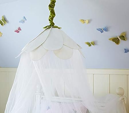 Amazon Com Daisy Petal Canopy Pottery Barn Home Kitchen