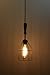 Industrial Hanging Pendant Light with Wood Handle and Vintage Style Wire Cage Guard - Hanging Lamp - Built by Hand in the USA by Industrial Rewind