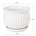 Plant pots - 5.5-inch Cylindrical Ceramic Planters with Connected Saucer, Round Modern Ceramic Garden pots - Succulent Medium-Sized Plant pots Set of 4 (Pure White)