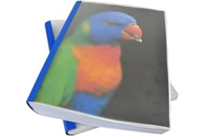 Coverbind Clear Linen Wrap-Around Thermal Binding Report Covers - 1 1/4 inch Spine, Letter Size, Royal Blue, Portrait - Qty 30 (08CB114RYBLU)