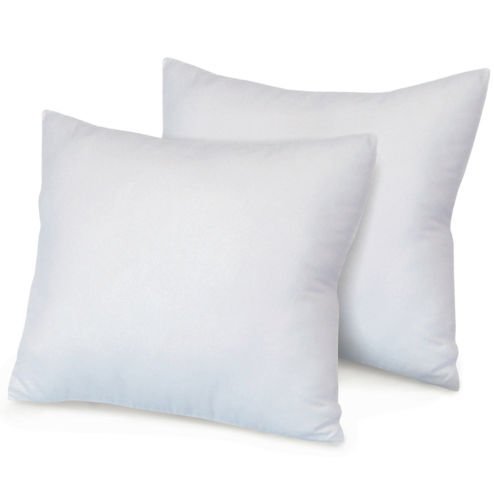 Amazon Com Heavensleep 18 X 18 Inch Set Of 2 Down And Feather