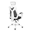 AuAg Home Office Chair Computer Desk Chair High Back mesh Rolling Chair Lumbar Support Ergonomic Adjustable Swivel…