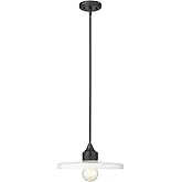 Z-Lite 820P14-MB Paloma Pendant, 1-Light 100 Watts, Matte Black