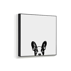 Framed Canvas Wall Art for Living Room, Bedroom Curious Dog and Cat Canvas Prints for Home Decoration Ready to Hanging - 16x16 inches