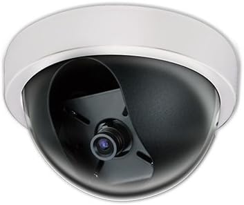 iPower Security SCCAME0064 Indoor 1000TVL 1.3MP Dome Security Camera (White)