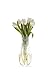 ChiChi White Myvaz Vase - Collapsible, Expandable - NOT GLASS
