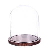 Moonlear Glass Cloche Bell Jar Display Dome with Wooden Base 5.9" x 7" (coffee wood base)