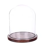 Moonlear Glass Cloche Bell Jar Display Dome with