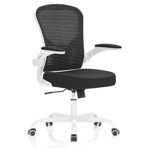Synorla Ergonomic Office Chair
