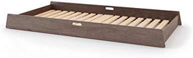 Oeuf Sparrow Trundle Bed in Walnut
