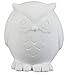 Creative Hobbies Tiny Tot Hoot Owl, Case of 6, 3 Inch Tall, Unfinished Ceramic Bisque, with How to Paint Your Own Pottery Booklet