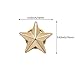 20 Pieces Star Badge Gold Lapel Pin for 4th of July Memorial Day Veterans Day