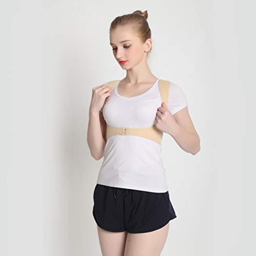 image for Liobaba Comfort Posture Corrector Back Support Brace for Men and Women