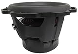 Rockford Fosgate P2D2-12