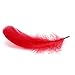 Poswlto 300Pcs Decor Feathers,Colorful Feathers for DIY Craft Wedding Home Party Decorations.