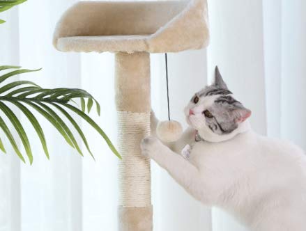 CATISM Arbre de Chat Moelleux avec Tunnel de Chat, Peut être employé pour des récréations d’Animal familier, la Saisie de Griffe de Pratique, 60 x 40 x 60 cm