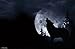 Trends International Wolf - Howl Wall Poster, 22.375