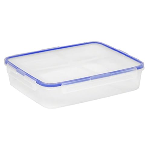 Large Flat Storage Container at Christy Symonds blog