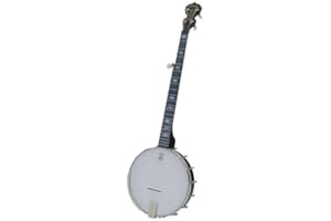 Goodtime Americana 5-String Banjo by Deering
