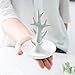 WANYA Ceramic Ring Holder Jewelry Decor Organizer, Tree Dish, White&Gold
