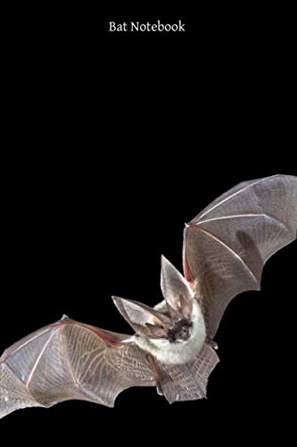 Bat Notebook: Portable lined Bat - Travel Journal to write in - 120 pages - 6"x9"