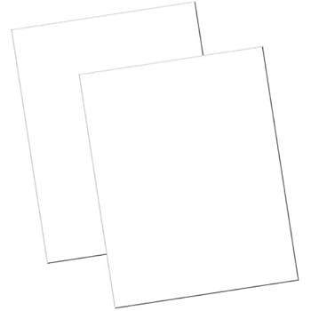Riverside Paper 104225 White Poster Board, 22