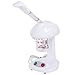 Personal Portable Table TOP Mini Facial HOT Steamer Salon Professional OZONE