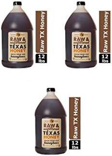 Desert Creek - Raw Honey, Natural Premium and Pure Texas Product - 1 Gallon (3 pack)