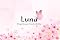 Livro Luna, a lagarta que virou borboleta (Lições da naturezaQueridos leitores, Com imensa alegria, apresento a vocês as histórias de "Luna, a lagarta que virou borboleta)