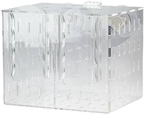 Seaside Aquatics RF200 Aquarium Acclimation / Breeding Box