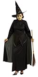 Wicked Witch of the West Costume - Standard - Dress Size 10-12