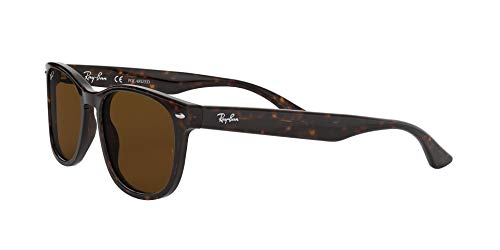 ray ban rb2184