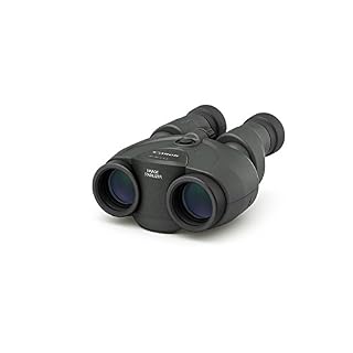 Canon 10×30 Image Stabilization II Binoculars