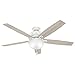 Hunter Indoor Ceiling Fan with LED Light and pull chain control - Donegan 60 inch, Onyx Bengal, 54170