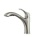 Kraus KPF-2250 Single Lever Pull-Out Kitchen Faucet, Stainless Steel